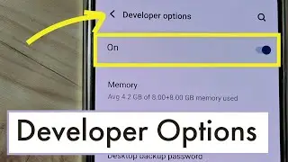 How to Disable / Delete Developer Options in VivO V9