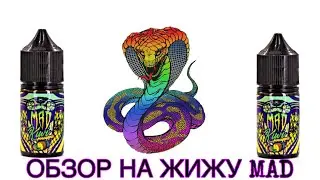 ОБЗОР НА ЖИДКОСТЬ MAD Pineapple Kiwi