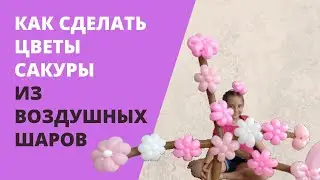 Как сделать цветы сакуры из воздушных шаров