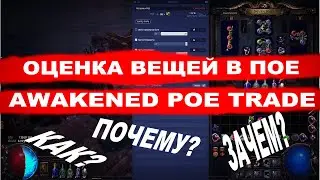 Лучший способ оценки вещей в ПОЕ. Awakened POE Trade. Path of Exile