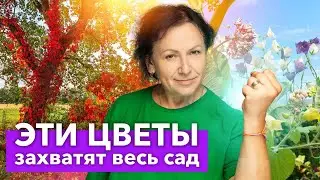 ПОСАДИТЕ ХОТЬ РАЗ И БОЛЬШЕ НЕ ИЗБАВИТЕСЬ! 10 красивых, но агрессивных растений