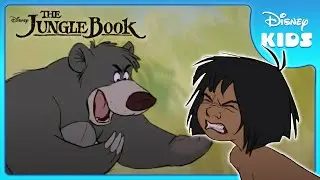 🌟 Baloo's Training Fun! | Jungle Book | Disney Kids