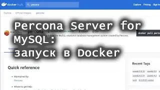 Percona Server for MySQL: запуск в Docker