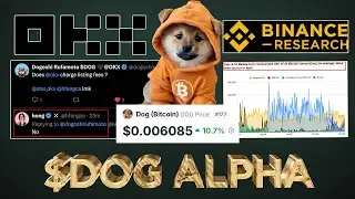 $DOG (Bitcoin) Alpha with Binance Research and OKX 😱