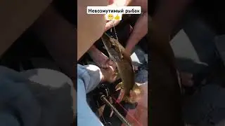На рыбалке нужно быть очень осторожным! 👍