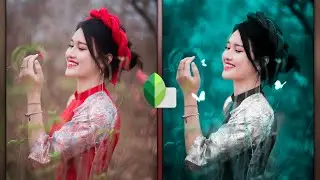 New Snapseed Photo Editing Trick | Snapseed Professional Photo Editing Tutorial