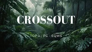 CROSSOUT CW TOP 1 + ВЕБКА