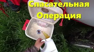 ЭКСТРЕННАЯ Фунгицидная Обработка Озимых / Дожди Капитально НАШКОДИЛИ Озимым / Спасаем Озимые 2023