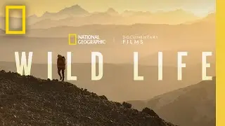 Wild Life | Official Trailer | National Geographic