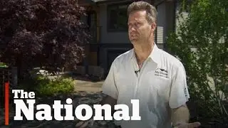 Home renovation business booming in Canada