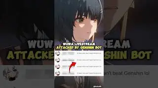 Wuthering Waves Livestream Attacked By Genshin Bot!