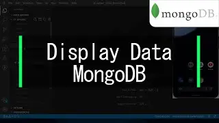 Display Data From MongoDB  -  Flutter