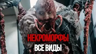 ВООБЩЕ ВСЁ ОБО ВСЕХ НЕКРОМОРФАХ