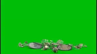 Green Screen #greenscreen