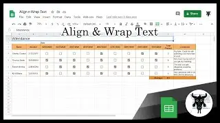 Google Sheets Beginners:  Align & Wrap Text  (2)