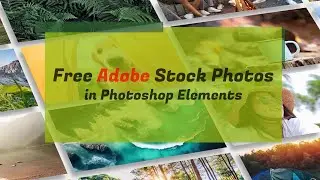 Free Adobe Stock photos in Adobe Photoshop Elements