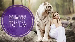 Как встретить свое священное животное - тотем