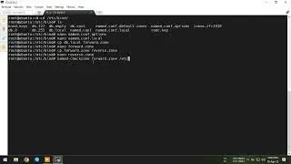 Setup Your Own DNS Server on Ubuntu Server