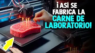 ¿Cómo Se Hace La Carne De Laboratorio? [Proceso En Laboratorio]