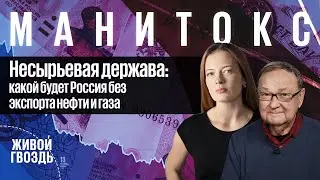 Михаил Крутихин: какой будет Россия без экспорта нефти и газа? / Манитокс / 14.07.2022