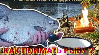 Рыбалка на донки. Как поймать рыбу?