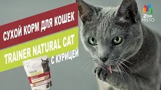 Сухой корм для кошек Trainer Natural Cat с курицей | Обзор сухого корма для кошек