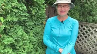 ЗАЧЕМ НАМ НУЖНЫ ВРАГИ И НЕДОБРОЖЕЛАТЕЛИ КОЛЕНА