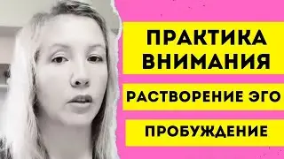 Пробуждение сознания. Практика. Тамая