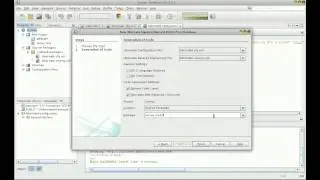 Preparing Database Interface using Hibernate in NetBeans