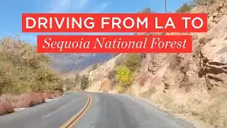 Driving journey from LA to Sequoia National Forest | BAO After Work