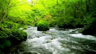 4k UHD Forest Stream, River Sounds, Flowing Water, Nature Sounds, White Noise Sleep, Relax, Meditate