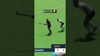 Fetch! 🤣 #shorts