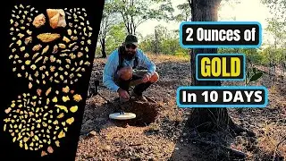 Gold Prospecting on a Gold Mining lease - 1870 GPT Clermont Queensland Australia.