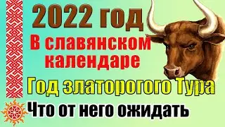 2022 год (7530 СМЗХ) Златорогого Тура по славянскому календарю 20-21 марта. Что нас ждет в 2022 году