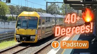 Sydney Transport Vlog 459: Padstow Trainspotting - During SCORCHING 40 Degree Heat!