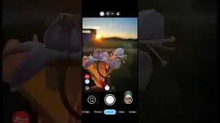 LMC 8.4 iphone Pro config #lmc #iphone #shortvideo #shorts