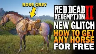 NEW GLITCH! How to Get ANY HORSE For FREE! Red Dead Redemption 2 Secrets