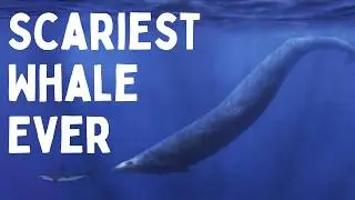 The First Super Predator To Emerge After The Dinosaurs