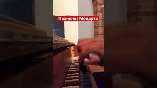 Как Моцарт на этом играл..?🤦🏼