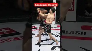 Красивый нокаут 🙀🙀🙀🙀 #mma #kazmma #мма #ufc #бокс #бои #бой #юфс #спорт #alashpride