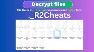 Unveiling the Secrets of Decrypting Ransomware -  ._R2Cheats- #recovery #ransomware