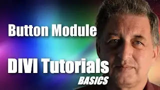 #24 DIVI Theme Tutorial for Beginners -  DIVI Button Module