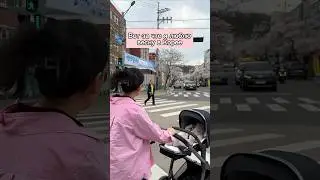🌸Цветение сакуры в Корее Или первая весна в жизни малыша👶 