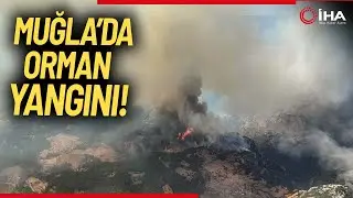 Muğla’daki Orman Yangınını Söndürme Çalışmaları Devam Ediyor