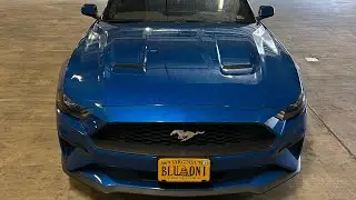Commute with me on my Ecoboost Mustang
