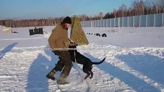 авитороторы2