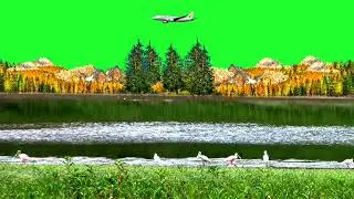 nature background green screen effect video 