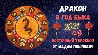 ДРАКОН в год БЫКА 2021. Восточный тароскоп