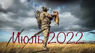 Охота на сурка байбака. И победа в соревнованиях по варминтингу.