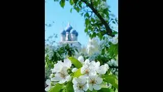 Многая лета. Красивое Многолетие.